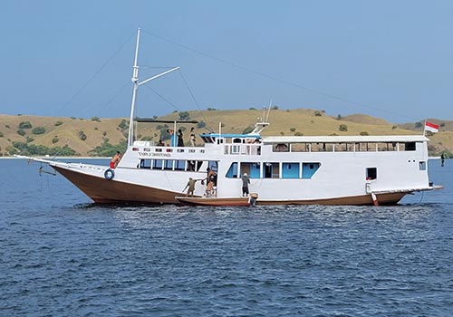 4D3N Komodo Island Boat Tour from Lombok